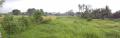 Ricefield land Total land