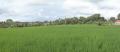 Panoramic land Land in Blayu