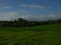 Panoramic land Land in Blayu