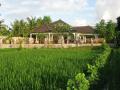 House from Paddies, Anturan House, Ocean and Paddy views