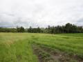 Ricefield land Land in Echobeach