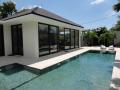 Modern light minimalism villa Living room with swimming pool