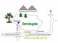 Riverside Clove Trees Garden Plan of Land