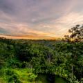 View from the resort, Ubud Mountain Resort, 5 villas on more than 1 hectare land