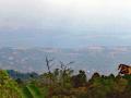 Coffee Plantation Land Lovina View
