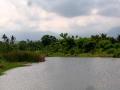 Bali Beach Land (Large Area) River on West Side