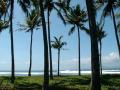 Bali Beach Villa Developments Palms on Beach Property