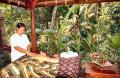 Gianyar Ubud Villa Resort Massage