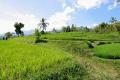 Magnificant Hillside Land Land for Sale View
